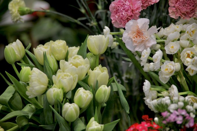 Un air de printemps photo 17